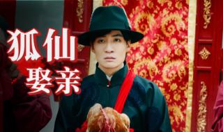 山村狐妻在线播放