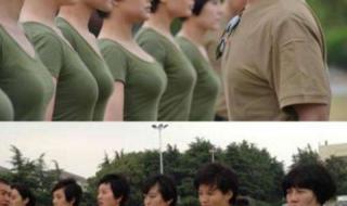 我的特种兵之火凤凰