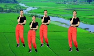 跳广场舞先学基本功