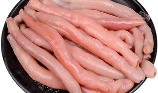 正常现象 烟台回应海肠从哪来