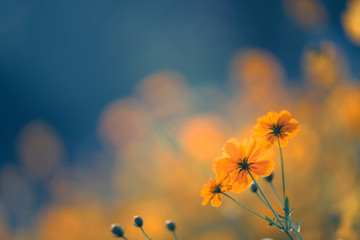 寻找生活中的大数10个例子 生活中的大数有哪些