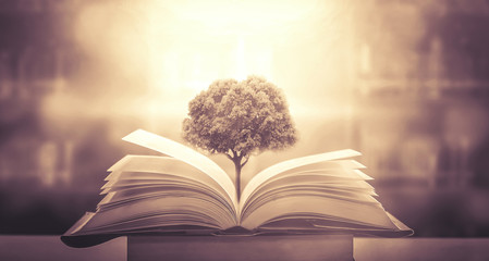 山东泰安中考成绩公布时间2025年 泰安市中考成绩查询