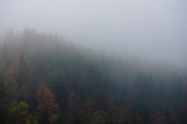 寻找城堡碎片攻略 寻找城堡模型的碎片