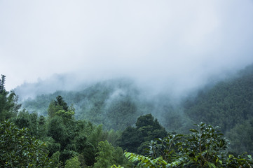 寻找城堡碎片攻略 寻找城堡模型的碎片